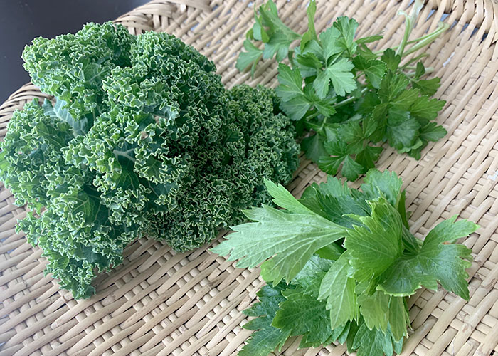 七草がゆを西洋野菜で なじょったニュース