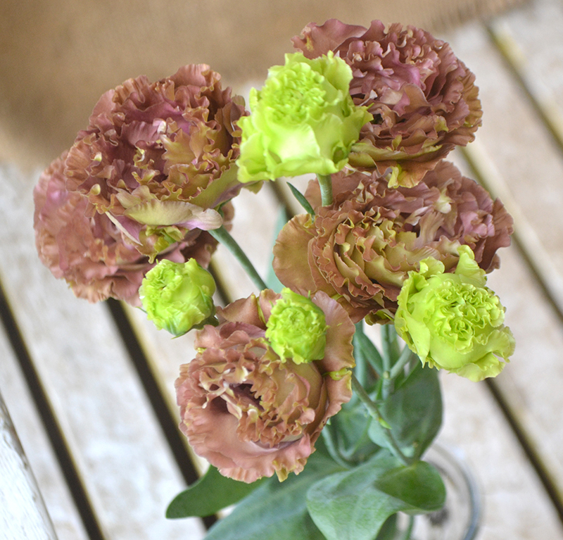 花ことば トルコギキョウ なじょったニュース
